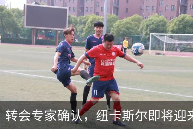 转会专家确认，纽卡斯尔即将迎来新援德迪奇